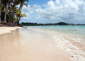 Centre Hospitalier    à Basse-Pointe 97218 dans la Martinique